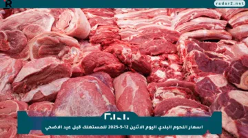 أسعار اللحوم البلدي اليوم الاثنين 12-5-2025 للمستهلك قبل عيد الأضحى